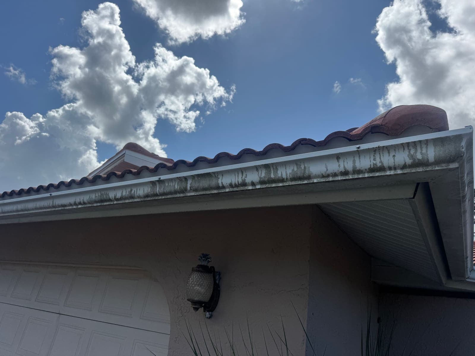 White gutter and fascia streaked with green algae before cleaning