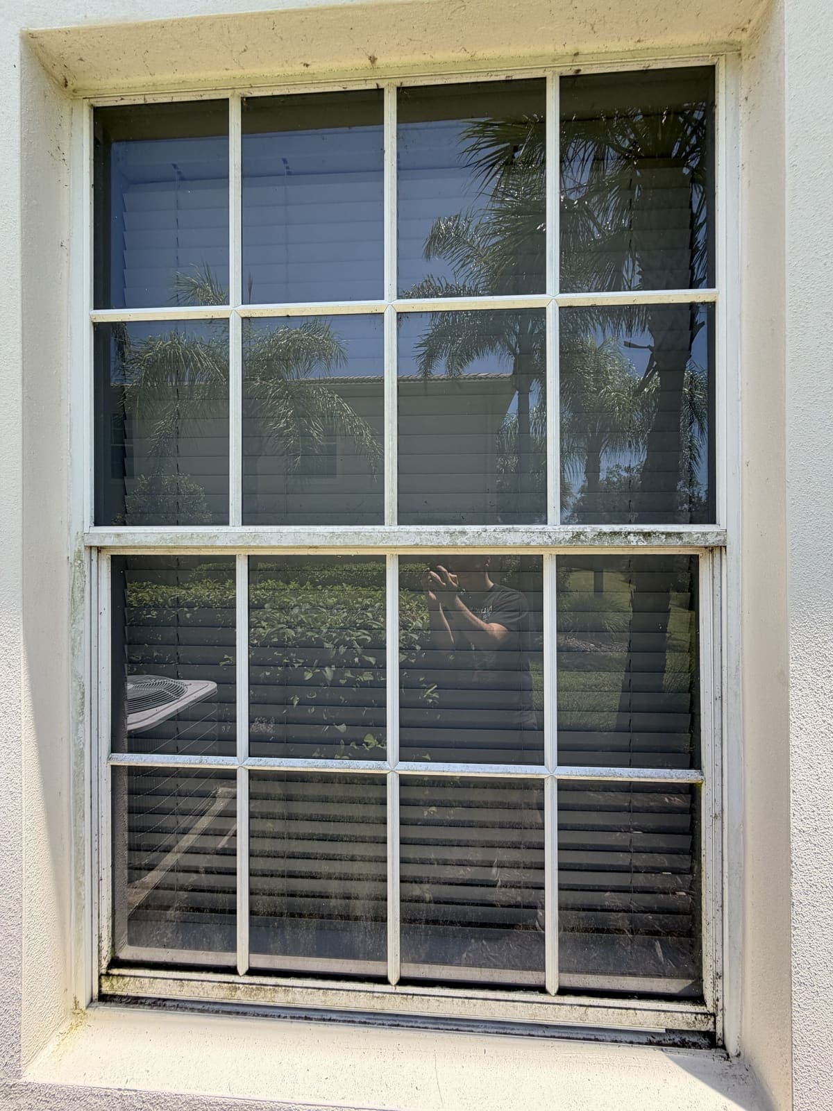 Divided-light window with algae and grime built up on the white frame and sill before cleaning
